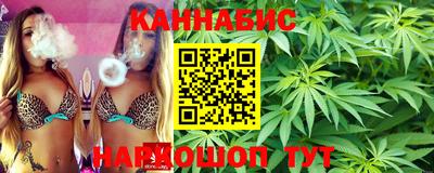 меф Кингисепп