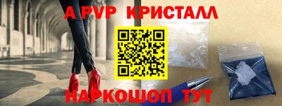 меф Кингисепп