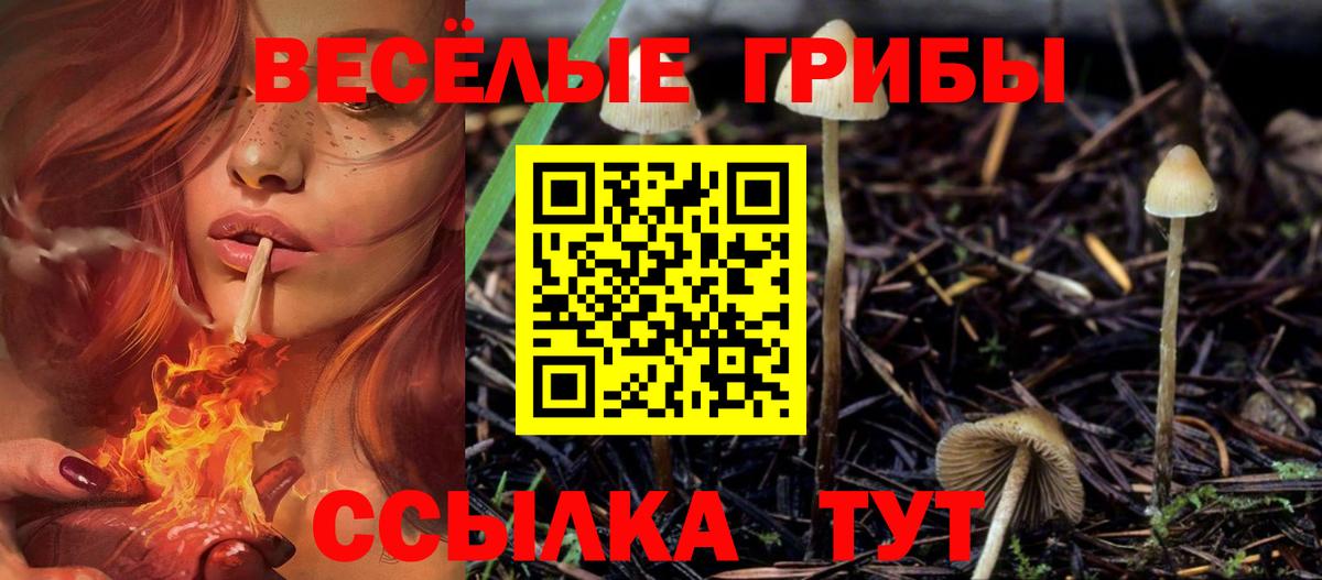 Псилоцибиновые грибы мицелий Комсомольск-на-Амуре